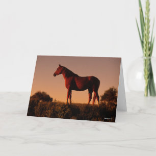 Bob Langrish   Arabisch Stehend in Sunset Karte