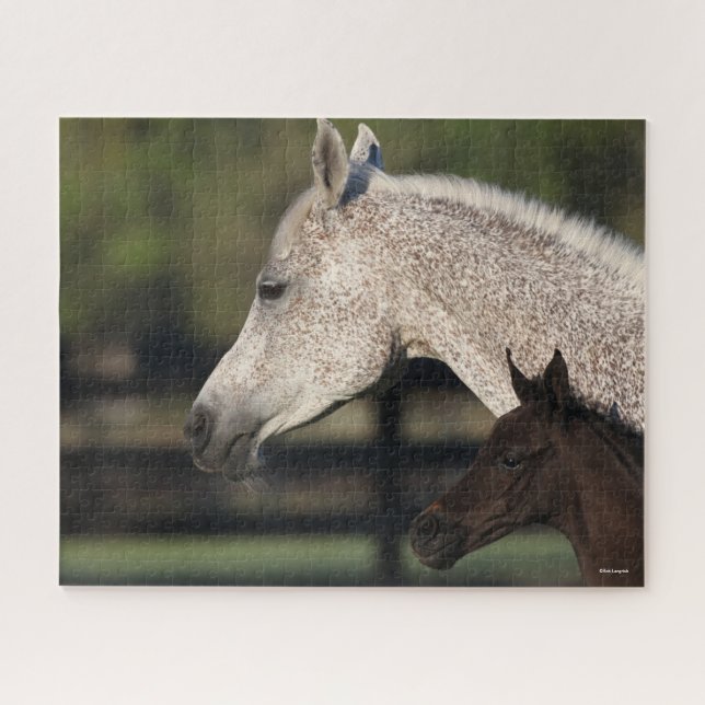 Bob Langrish | Arabischer Mare- und Fotopapier Puzzle (Horizontal)