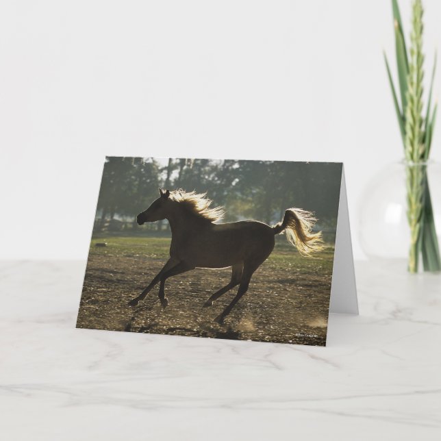 Bob Langrish | Arabischer Running Backlit Karte (Vorderseite)