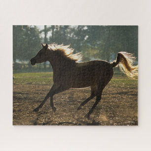 Bob Langrish   Arabischer Running Backlit Puzzle