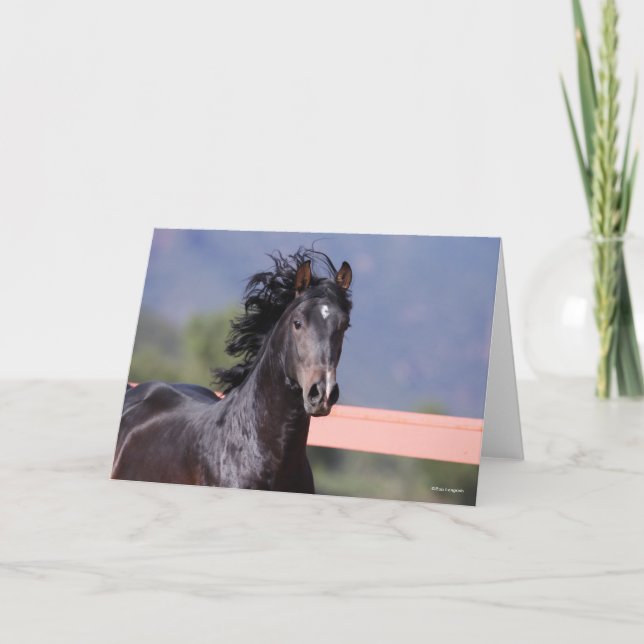 Bob Langrish | Back Andalucian Headshot Karte (Vorderseite)