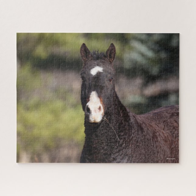 Bob Langrish | Bashkir Curly Mare Headshot Puzzle (Horizontal)