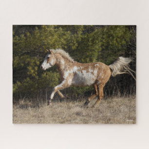 Bob Langrish   Bashkir Curly Stallion Running Puzzle