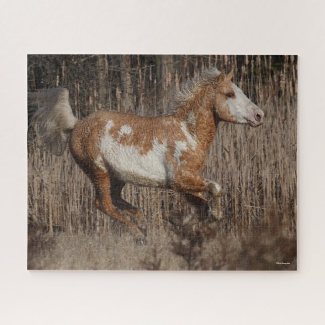 Bob Langrish | Bashkir Curly Stallion Running Puzzle (Horizontal)
