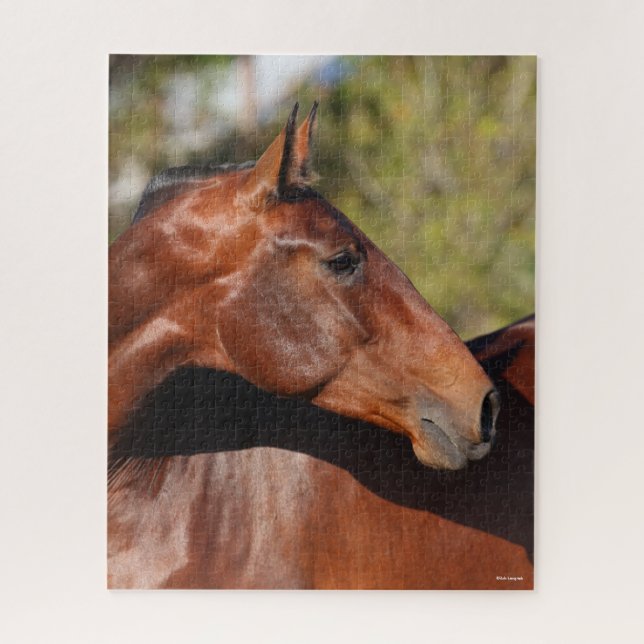 Bob Langrish | Bay Andalucian Headshot Puzzle (Vertikal)