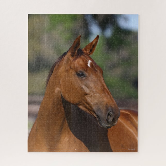 Bob Langrish | Bay Canadian Sport Horse Headshot Puzzle (Vertikal)