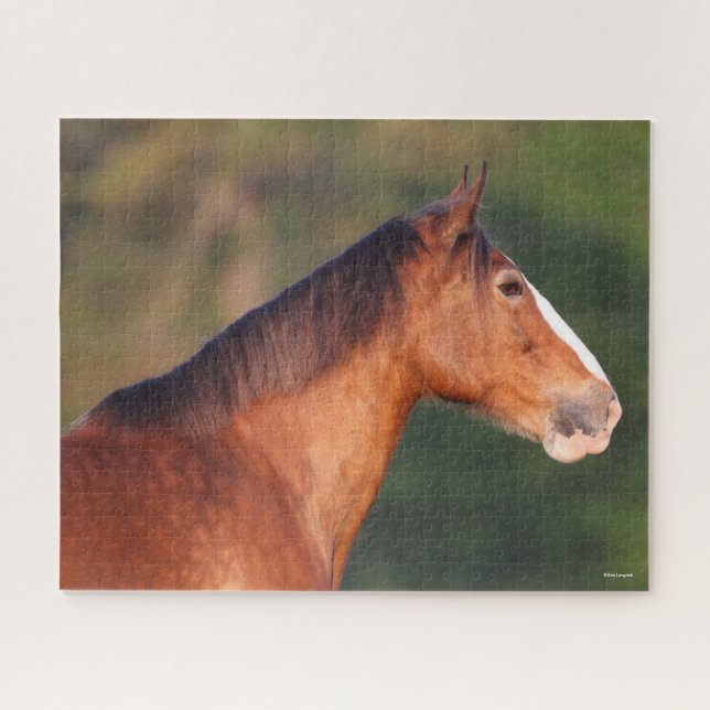 Bob Langrish | Bay Clydesdale Headshot Puzzle (Horizontal)
