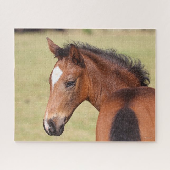 Bob Langrish | Bay Warmblut Foot Headshot Puzzle (Horizontal)