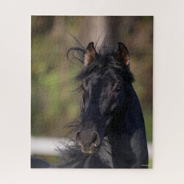 Bob Langrish | Black Andalucian Stallion Headshot Puzzle (Vertikal)