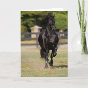 Bob Langrish   Black Friesian Horse Running Karte
