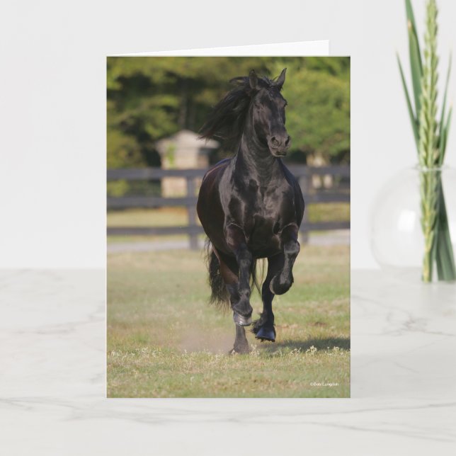 Bob Langrish | Black Friesian Mare Running Karte (Vorderseite)
