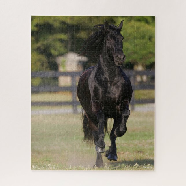 Bob Langrish | Black Friesian Mare Running Puzzle (Vertikal)