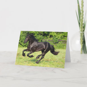 Bob Langrish Black Friesian Running Karte