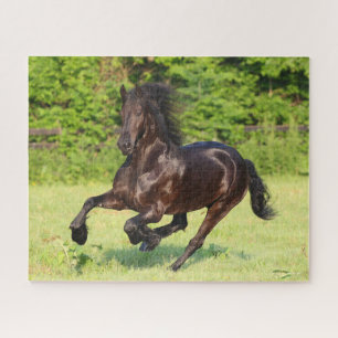 Bob Langrish Black Friesian Running Puzzle