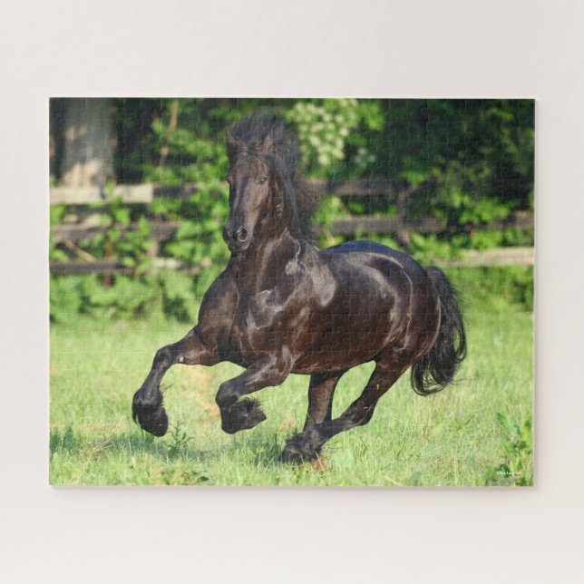 Bob Langrish | Black Friesian Running Puzzle (Horizontal)