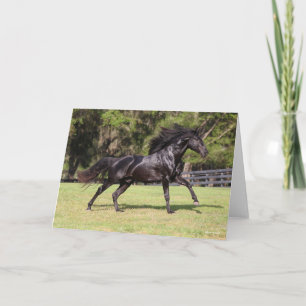 Bob Langrish   Black Lusitano Running Karte