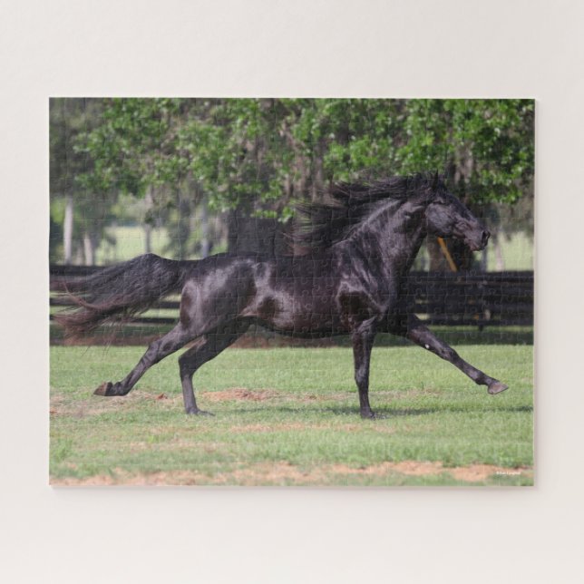 Bob Langrish | Black Lusitano Running Mane Flows Puzzle (Horizontal)