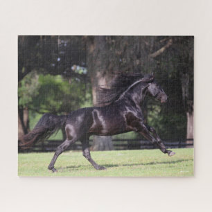 Bob Langrish   Black Lusitano Running Puzzle