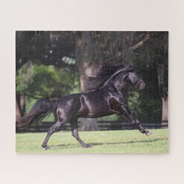 Bob Langrish | Black Lusitano Running Puzzle (Horizontal)