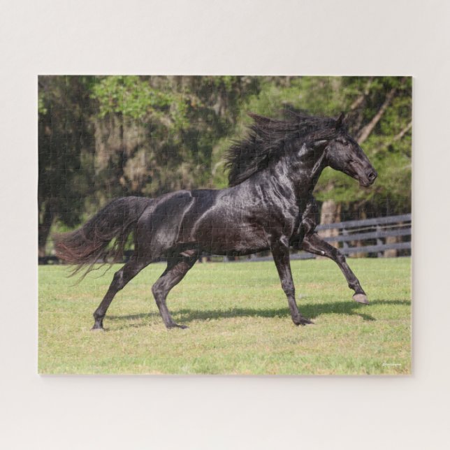 Bob Langrish | Black Lusitano Running Puzzle (Horizontal)