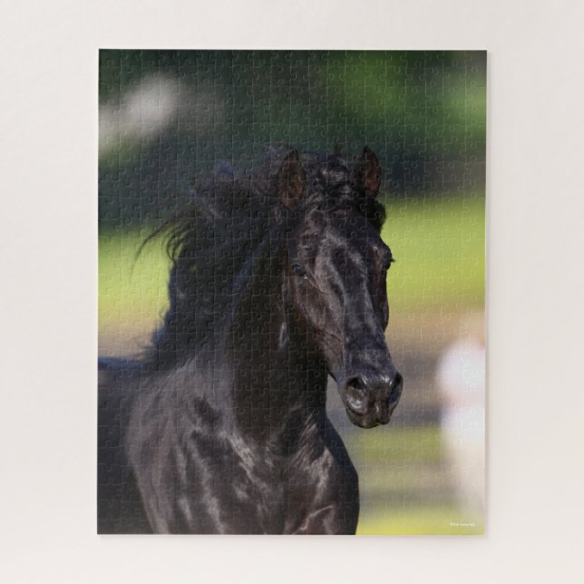 Bob Langrish | Black Rocky Mountain Horse Headshot Puzzle (Vertikal)