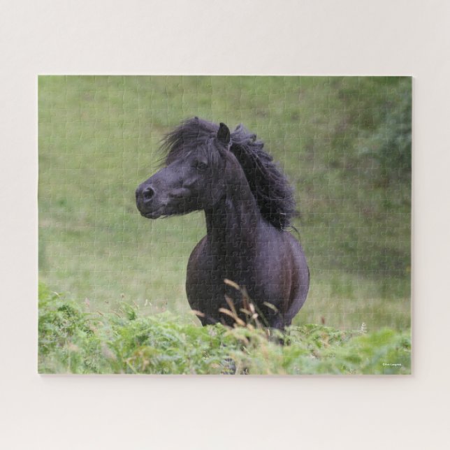 Bob Langrish Black Shetland Pony Stallion Headshot Puzzle (Horizontal)