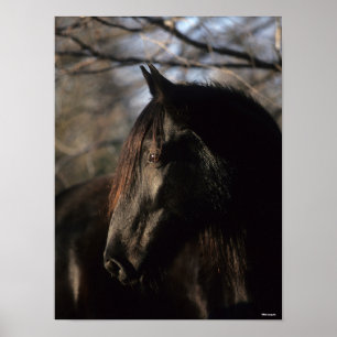 Bob Langrish   Black Tennessee Walker Headshot Poster