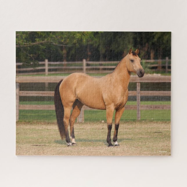 Bob Langrish | Buckskin Quarter Horse Stehend Puzzle (Horizontal)