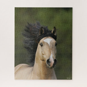 Bob Langrish   Buckskin Welsh Pony Headshot Puzzle
