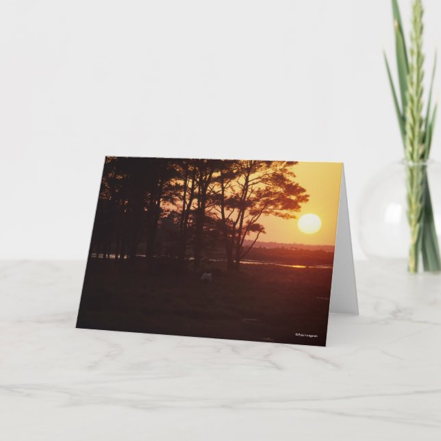 Bob Langrish | Chincoteague Grazing Sunset Karte (Vorderseite)