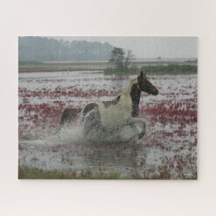 Bob Langrish   Chincoteague Horning in water Puzzle