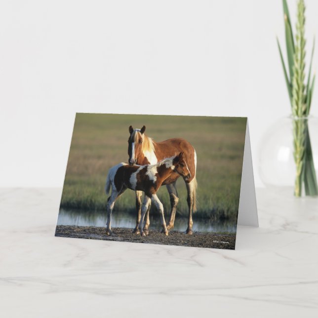 Bob Langrish | Chincoteague Mare and Foal Stehend Karte (Vorderseite)