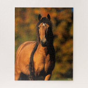 Bob Langrish   Chocktaw Pony Stehend Headshot Puzzle