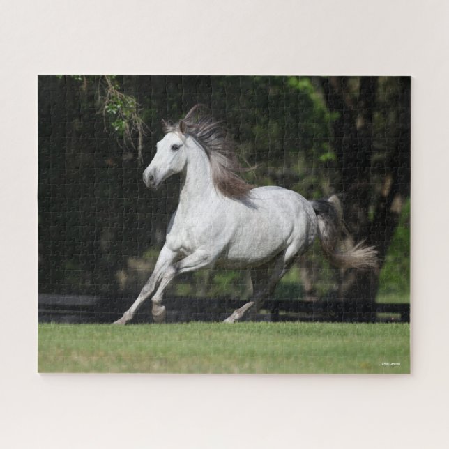 Bob Langrish | Daple Gray Andalucian Running Puzzle (Horizontal)