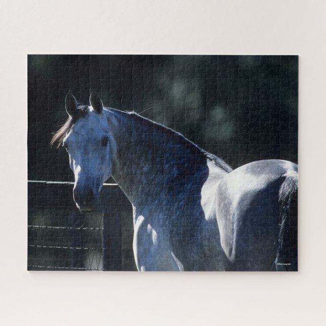 Bob Langrish | Dappel Gray Arab Headshot Backlit Puzzle (Horizontal)