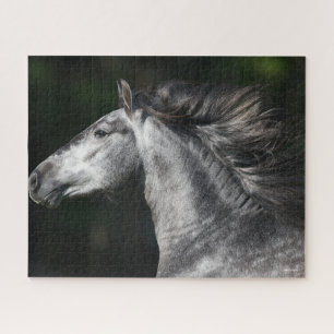 Bob Langrish Dappgraue andalusische Kopfschuss Puzzle