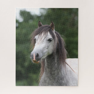 Bob Langrish   Dapple Gray Welsh Pony Headshot Puzzle