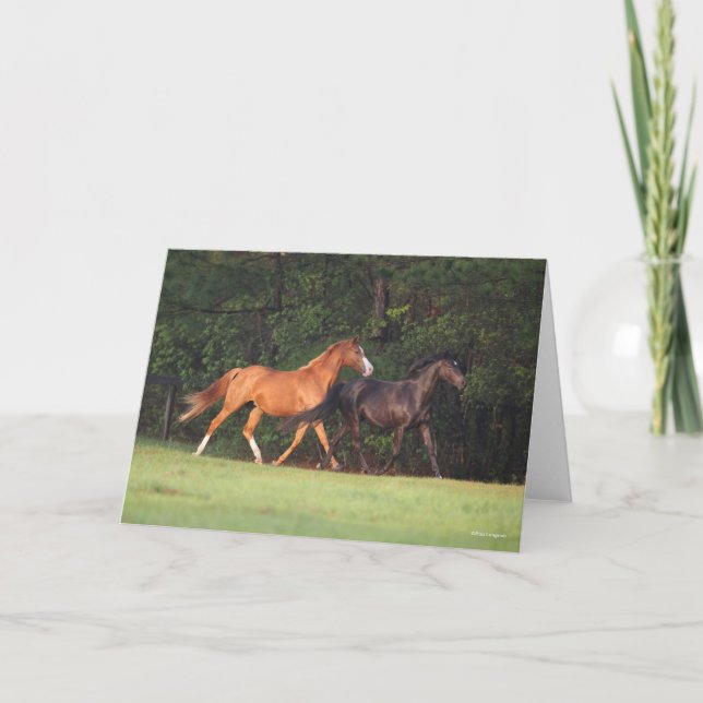 Bob Langrish | Deutsches Reitpony und Oldenburg Karte (Vorderseite)