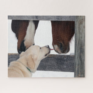Bob Langrish   Dog Licking Horses Nose Puzzle