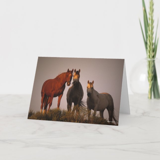 Bob Langrish | Drei in Sonnenuntergang Stehende Ar Karte (Vorderseite)