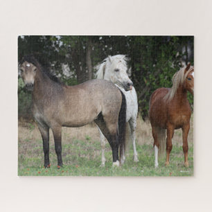 Bob Langrish   Drei miteinander Stehende Ponys Puzzle