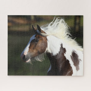 Bob Langrish Drum Horse Headshot Puzzle
