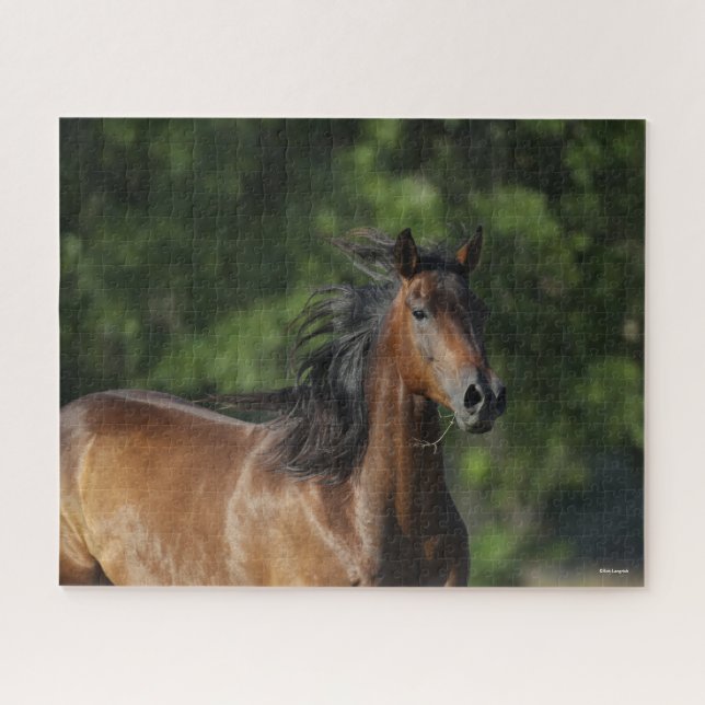 Bob Langrish | Dunkler Bay Quarter Horse Headshot Puzzle (Horizontal)