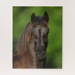 Bob Langrish Friesian Horse Headshot Puzzle