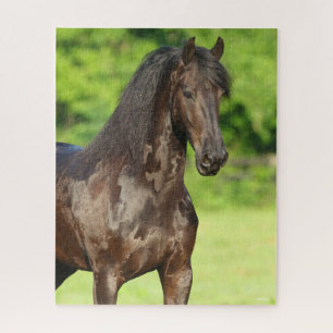 Bob Langrish   Friesian Horse Stehend Headshot Puzzle