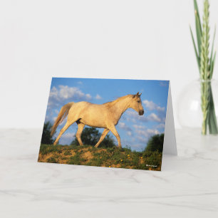 Bob Langrish   Grau Arab Walking Karte