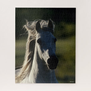 Bob Langrish   Graue andalusische Headshot Backlit Puzzle