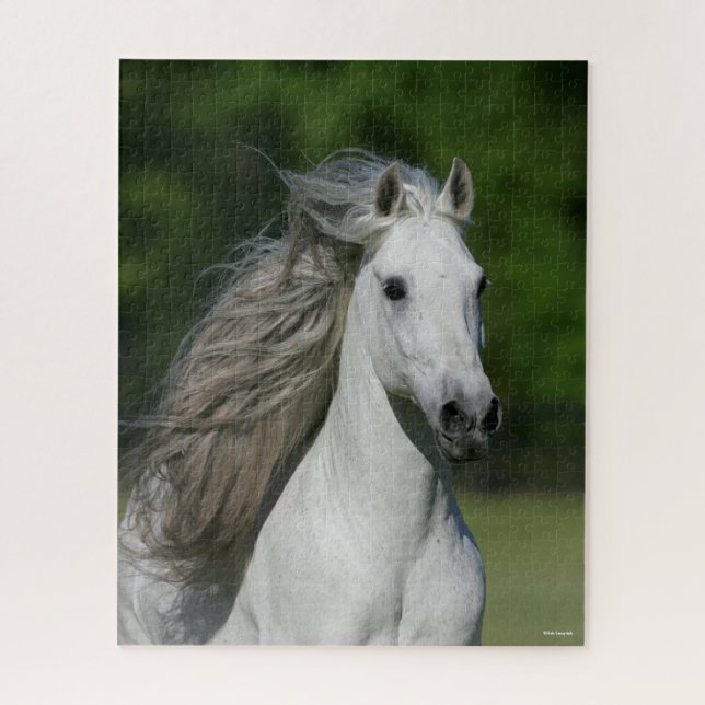 Bob Langrish | Grauer andalusischer Stallion Heads Puzzle (Vertikal)
