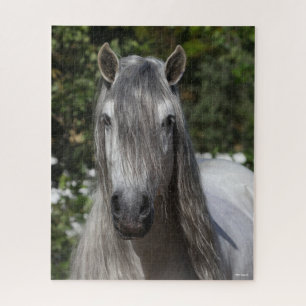 Bob Langrish   Grauer andalusischer Stallion-Heads Puzzle