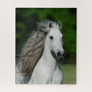 Bob Langrish   Grauer andalusischer Stallion-Heads Puzzle